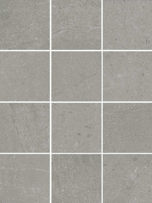 Матрикс серый матовый 29,8х39,8x0,7 из 12 частей 9,8x9,8