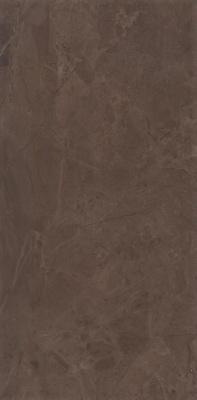 Версаль коричневый глянцевый обрезной 30x60x0,9
