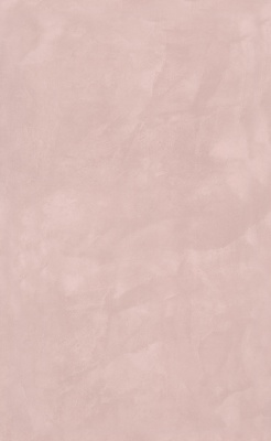 Фоскари розовый глянцевый 25x40x0,8 Фоскари розовый глянцевый 25x40x0,8