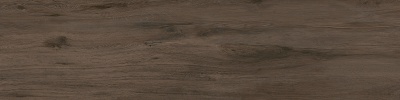 Сальветти коричневый обрезной 30x119,5x1,1