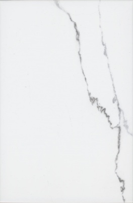 Мираколи белый глянцевый 20x30x0,69