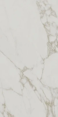 Монте Тиберио серый светлый матовый обрезной 60x119,5x0,9