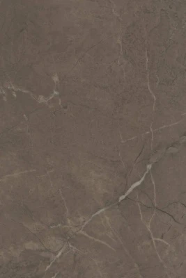 Керамическая плитка 20x30x0,69 Эль-Реаль коричневый глянцевый