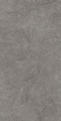 Портленд серый тёмный матовый обрезной 60x119,5x2