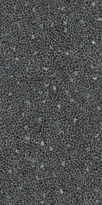 Палладиана черный декорированный лаппатированный обрезной 119,5x238,5x1,1