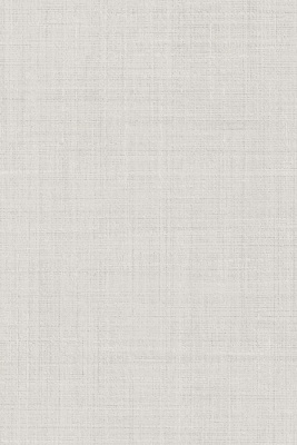 Спинелли серый светлый матовый 20x30x0,69 Спинелли серый светлый матовый 20x30x0,69