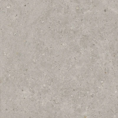 Риккарди серый светлый матовый обрезной 60x60x0,9