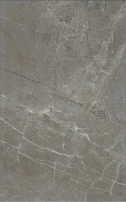 Кантата серый глянцевый 25x40x0,8