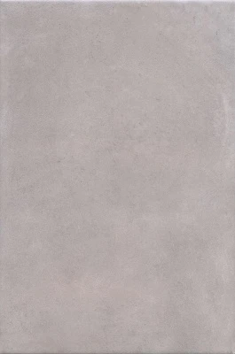 Александрия серый матовый 20x30x0,69