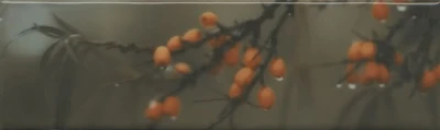 Декор Тракай 6 глянцевый 8,5x28,5x0,85