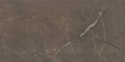 Керамическая плитка 20x9,9x0,92 Эль-Реаль коричневый грань глянцевый