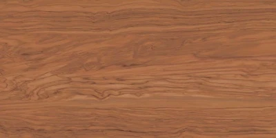 Олива коричневый обрезной 60x119,5x0,9