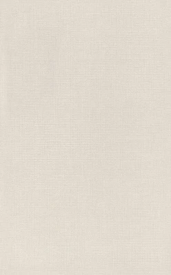 Ауленсия бежевый матовый 25x40x0,8